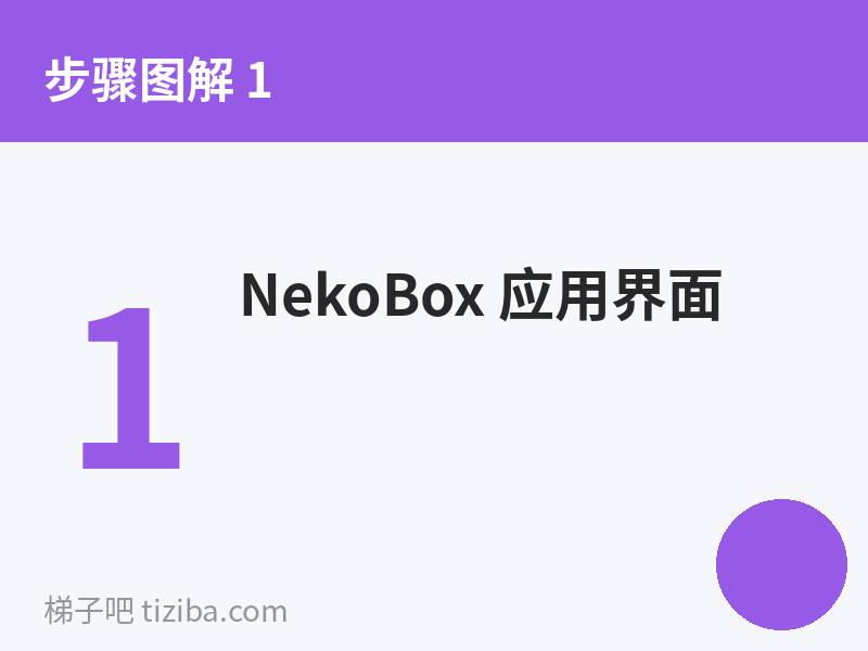 NekoBox 应用界面