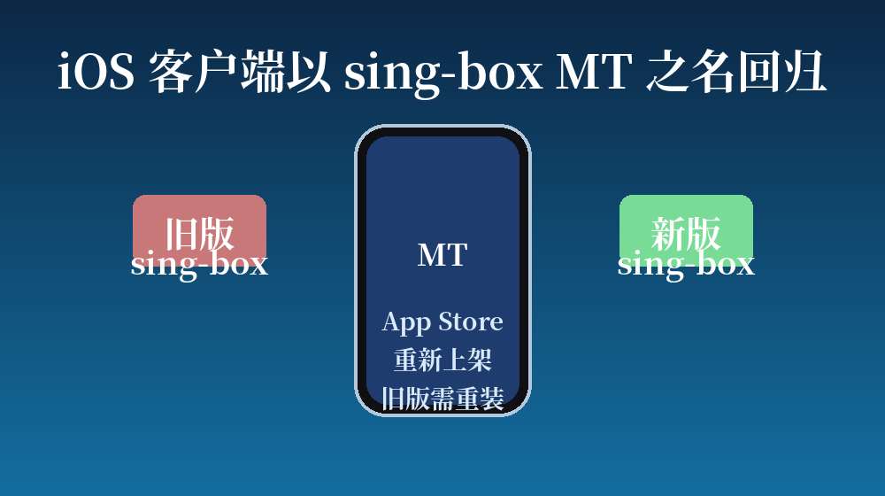 sing-box MT iOS 客户端示意