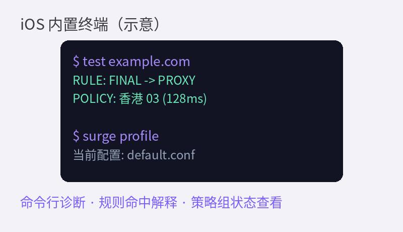 iOS 内置终端示意