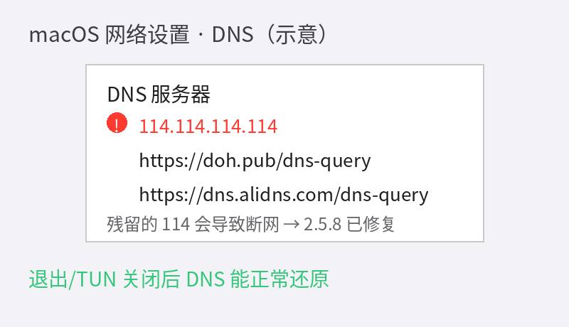 macOS DNS 设置排查示意